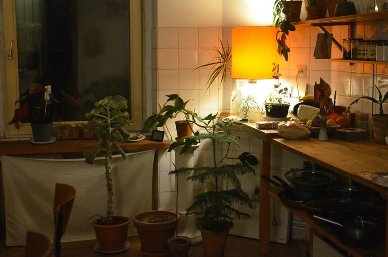 Tips for Creating a Cozy and Inviting Home Environment on a Budget