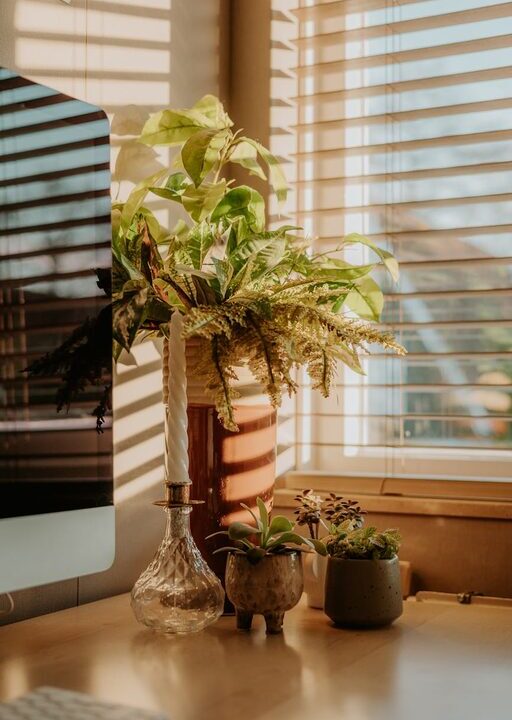 Tips for Creating a Cozy and Functional Home Office Space